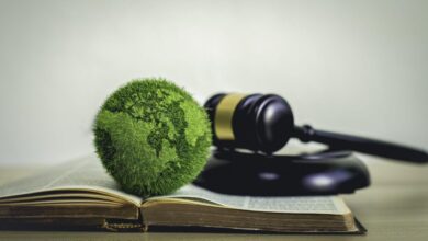 the green world is in the book There is a judging hammer behind it. The  concept of global natural law and environmental judgment. | Great Lakes Now