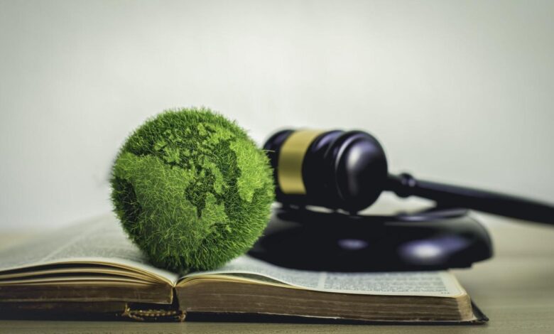 the green world is in the book There is a judging hammer behind it. The  concept of global natural law and environmental judgment. | Great Lakes Now