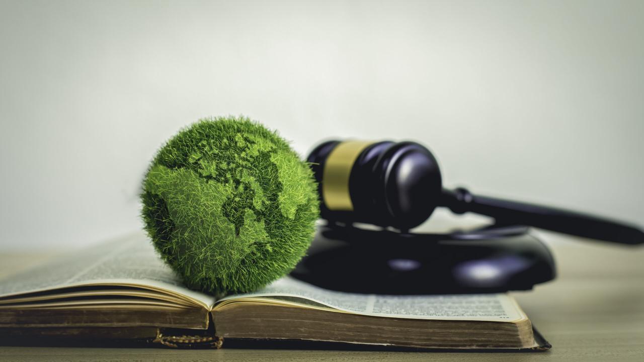 Environmental Law: Protecting Nature and Public Health
